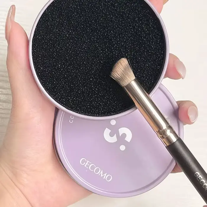 Boîte de nettoyage de pinceaux de maquillage, éponge de nettoyage rapide, pinceaux de fard à paupièr